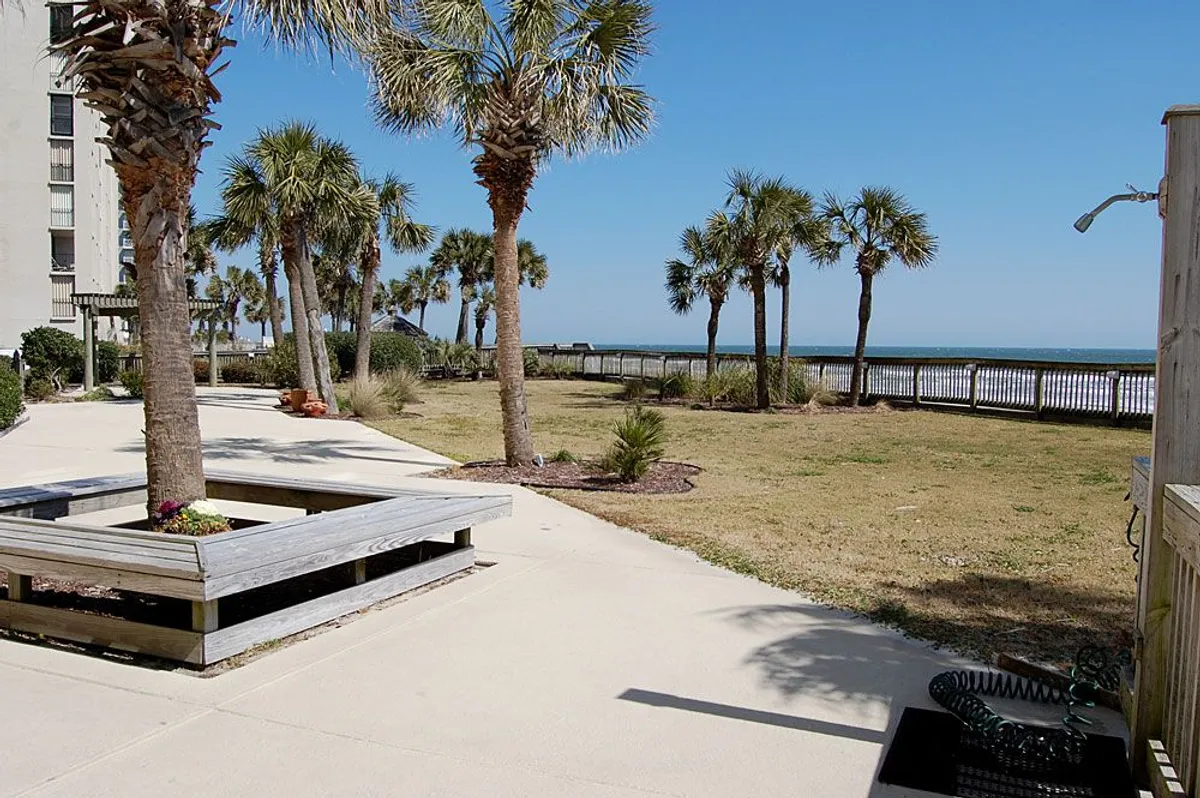 This exterior image features an inviting patio area shaded by palm trees, with a stunning view of the ocean just beyond. The setting is perfect for group gatherings, morning coffee, or sunset conversations, and highlights the proximity to the beach.