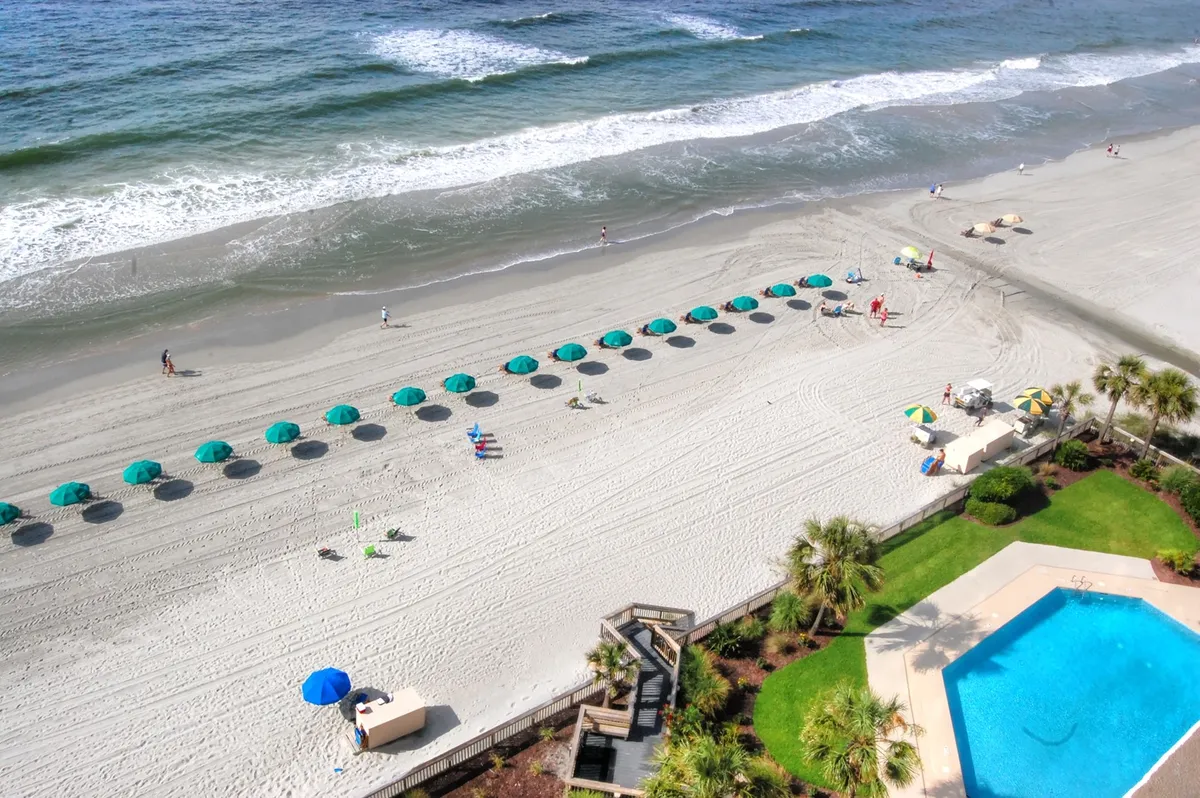 A vibrant pool area set against the ocean, complete with beach umbrellas, swimmers, a green lawn, and visible ocean waves. The lively setting captures both poolside enjoyment and immediate beach access, connecting two major amenities in one frame.